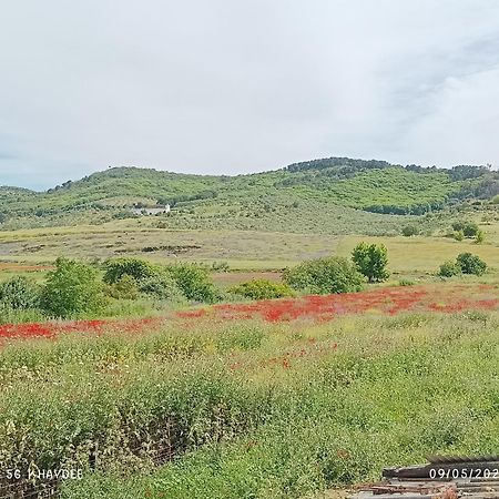 Гостевой дом Casa El Azahin Казалла де ла Сиерра Номер фото