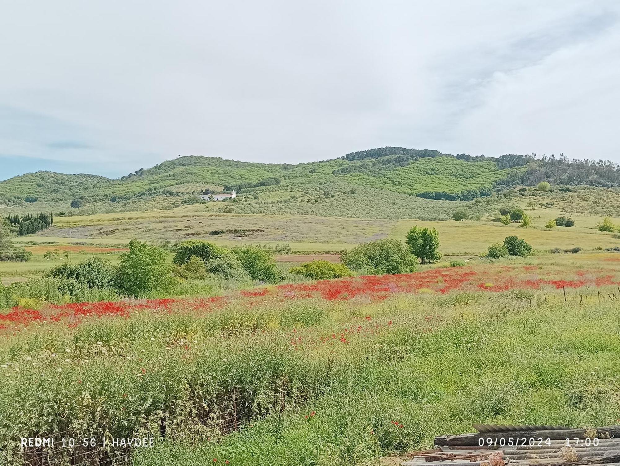 Гостевой дом Casa El Azahin Казалла де ла Сиерра Номер фото